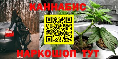 jwh Партизанск