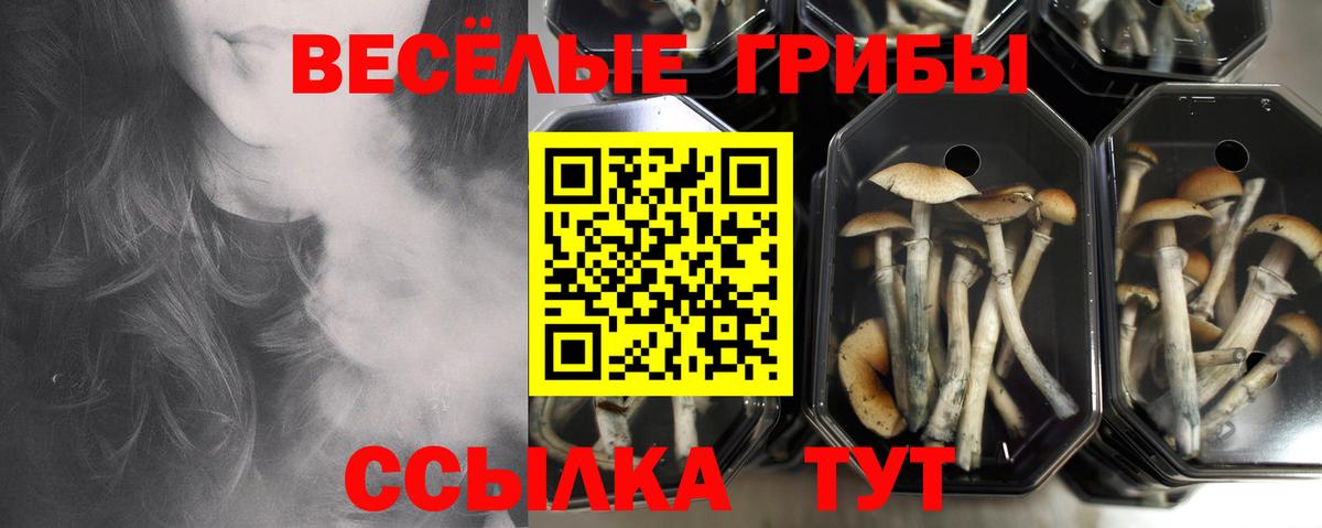 даркнет сайт  Вход с VPN  Партизанск  Псилоцибиновые грибы мухоморы 